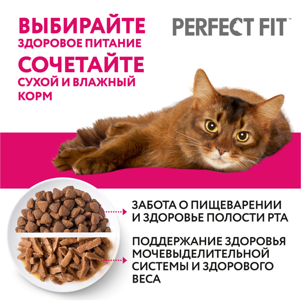 Купить влажный корм Perfect Fit для котят от 1 до 12 месяцев, с курицей в  соусе, 28 шт x 75г, цены на Мегамаркет | Артикул: 600004443421