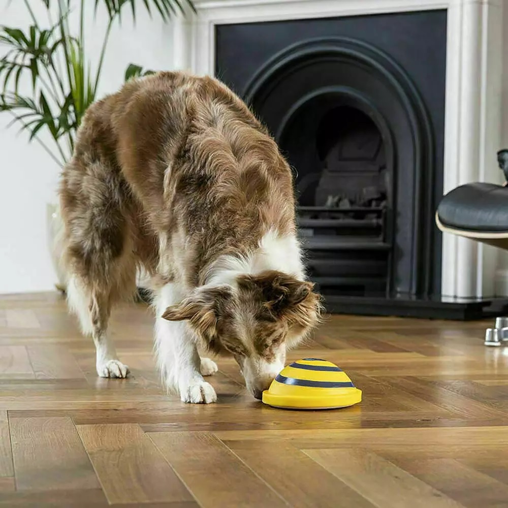 Интерактивная игрушка для собак Wobble Wag Woof Glider, желтый, 16 см