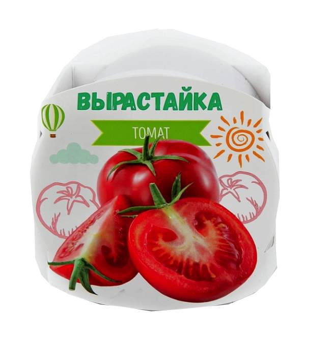 Томат Ракета Фото