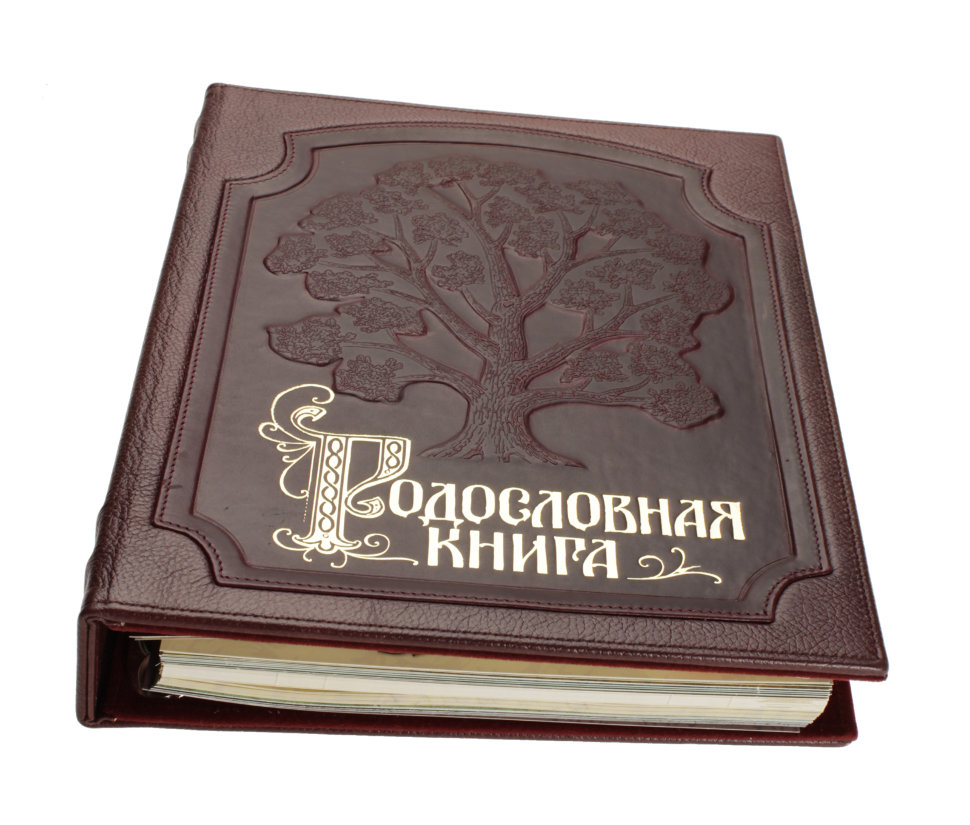 Родовая книга. Родословная книга "изысканная". Семейная родовая книга. Обложка на родословную книгу.