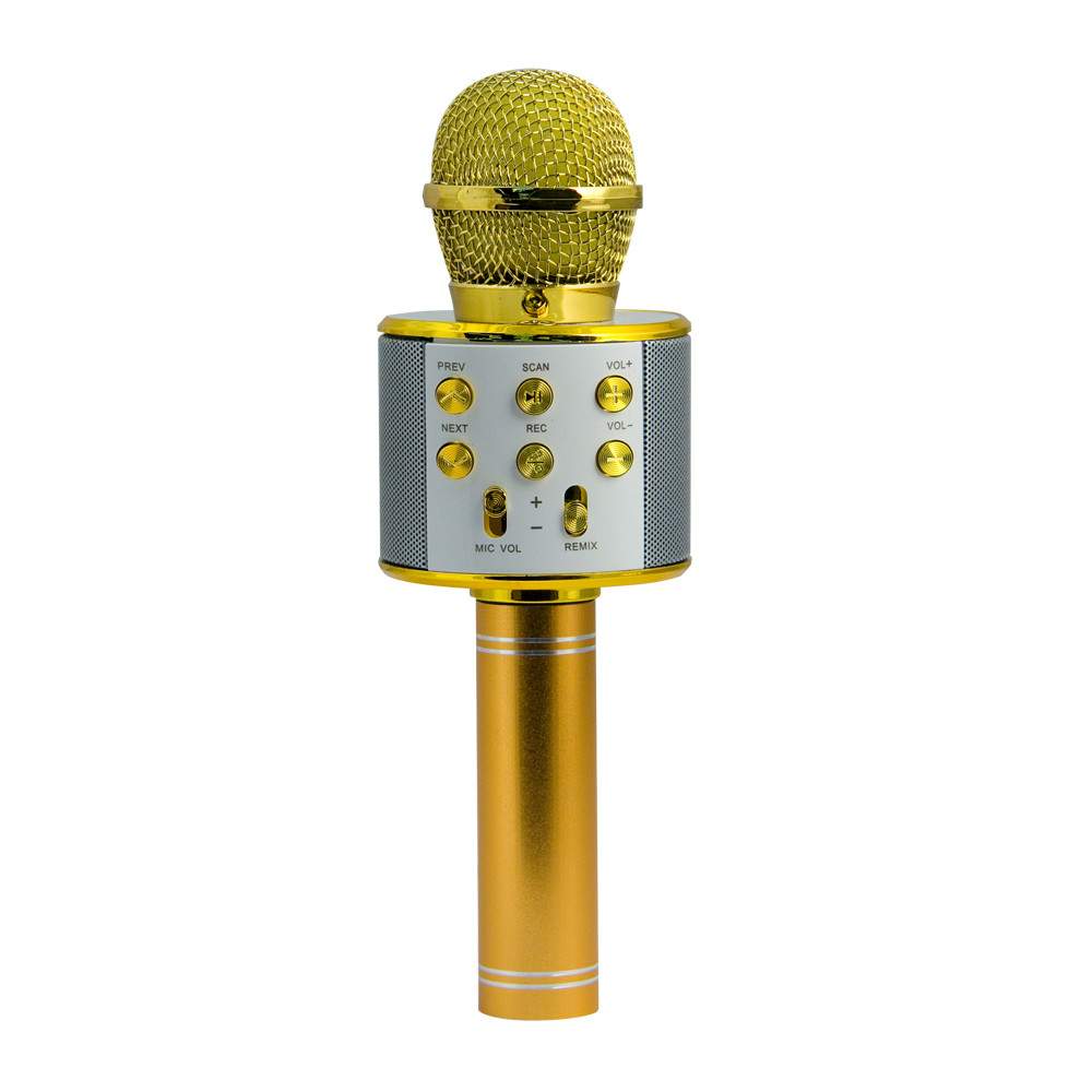 Микрофон-колонка Belsis Magic Acoustic Superstar Gold (MA3001GD) - отзывы  покупателей на маркетплейсе Мегамаркет | Артикул: 600004028765