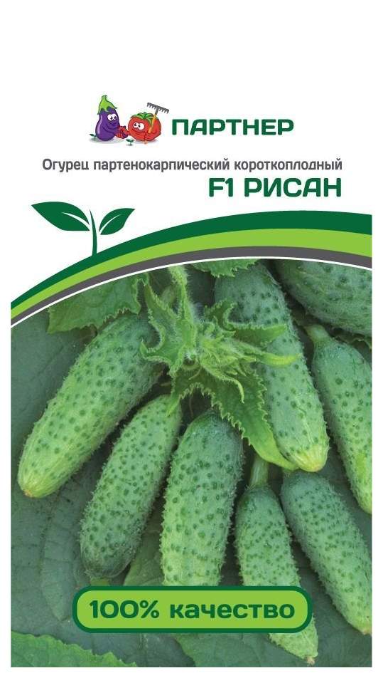 Купить Семена Огурца Кономор