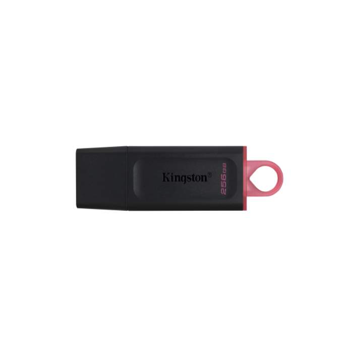 Флешка Kingston DataTraveler Exodia 256ГБ Black (DTX/256GB) - купить в М.видео, цена на Мегамаркет