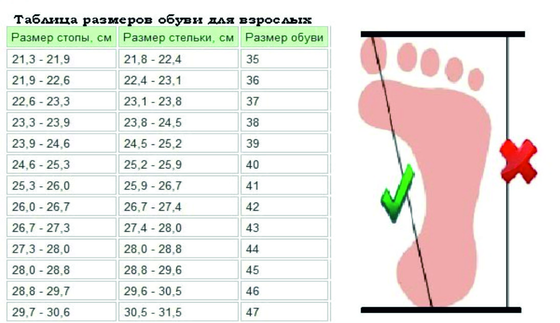 Как определить размеры видео. Как определить размеры видео