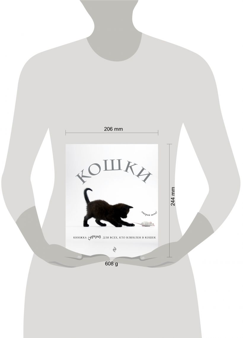 Книги о кошках: как превратить питомца из катастрофы в друга