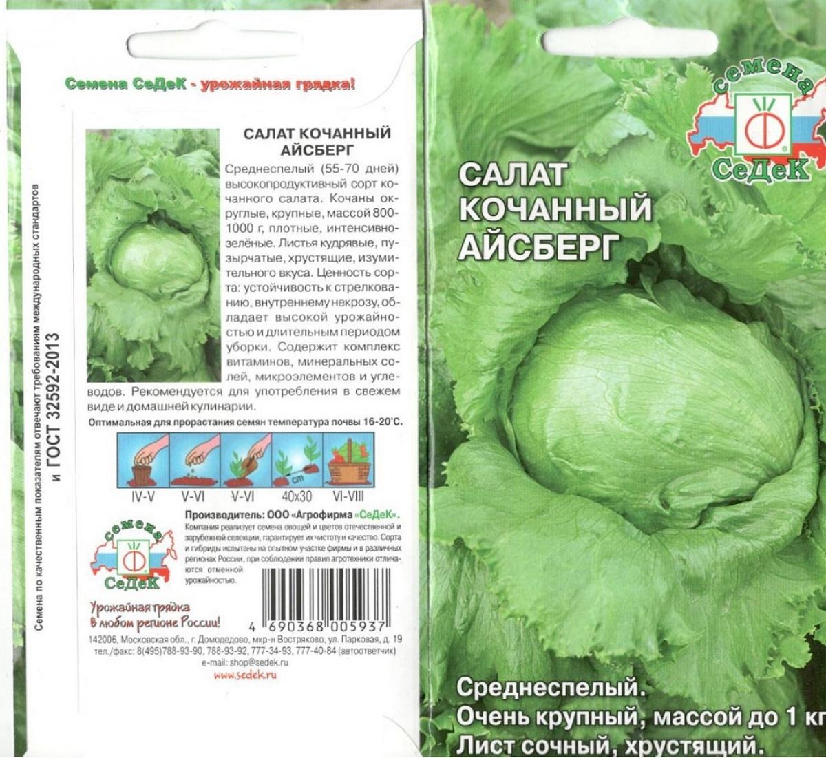 Салат Айсберг (Айсберг) СЕДЕК