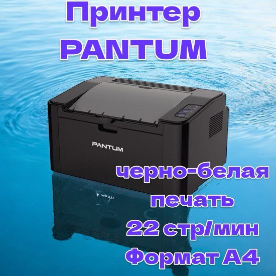 Лазерный принтер Pantum P2207 (200024), купить в Москве, цены в интернет-магазинах на Мегамаркет