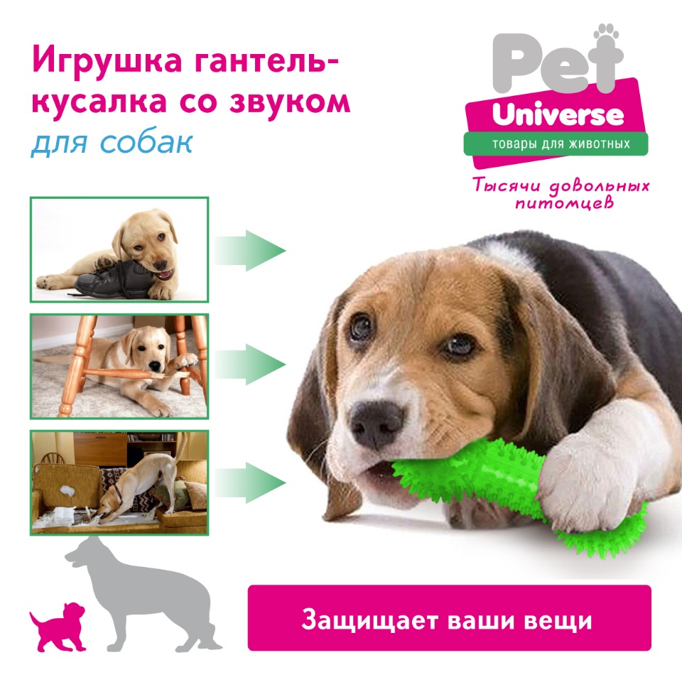 Купить игрушка-пищалка для собак Pet Universe , зеленый, 13 см, 1 шт, цены  на Мегамаркет | Артикул: 600005624059