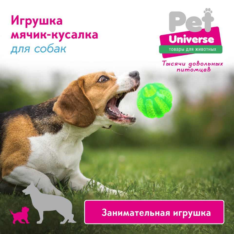 Купить развивающая игрушка для собак Pet Universe, зеленый, 6 см, 1 шт,  цены на Мегамаркет | Артикул: 600005624056