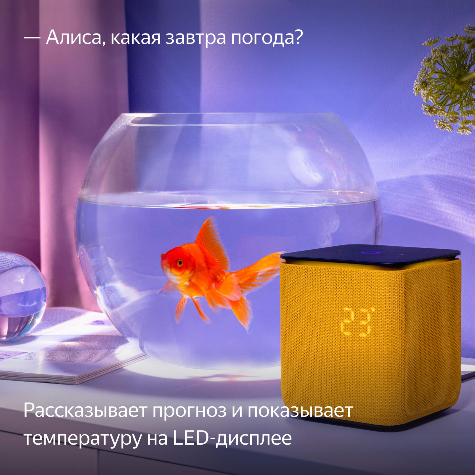 Умная колонка Яндекс Станция Миди с Алисой, с Zigbee Orange (YNDX ...