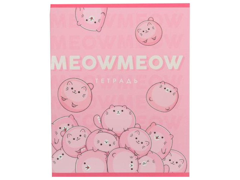 Тетрадь ArtFox Meow meow А5 96 листов 5515256