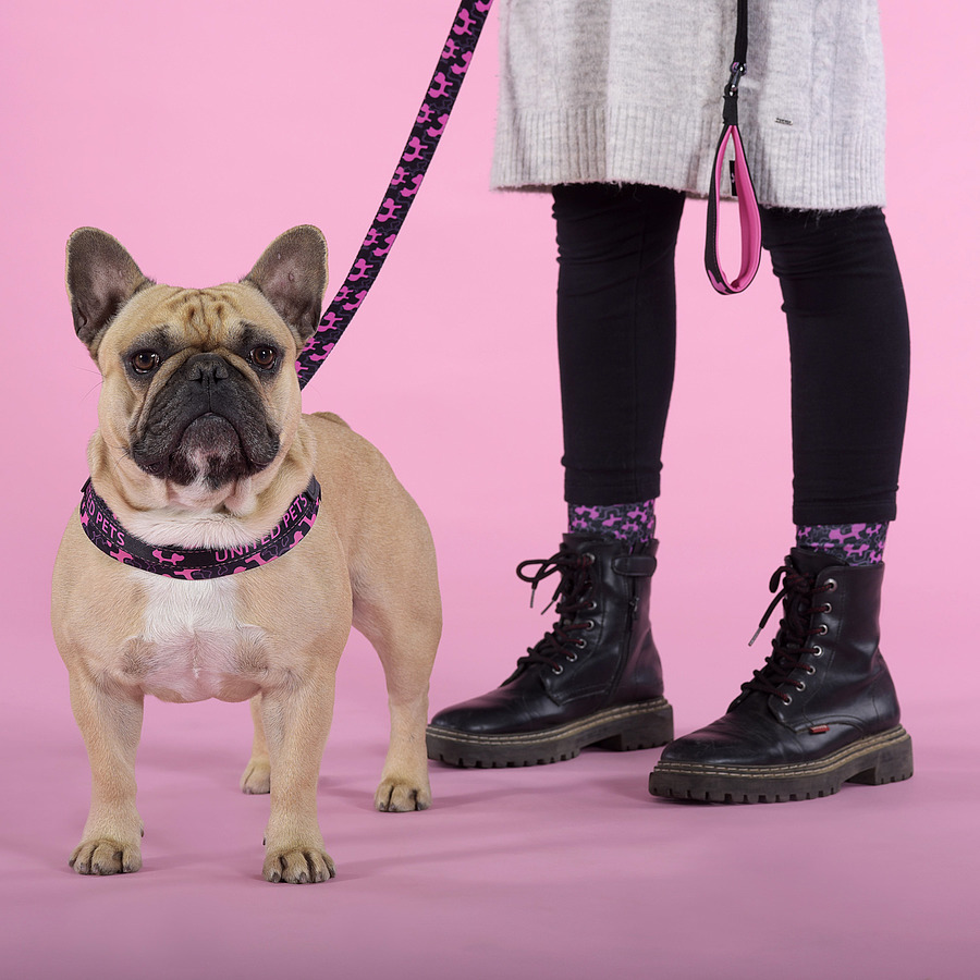 United pets. United pets. United pets. Союз зверей спасение двуногих белль. United pets.