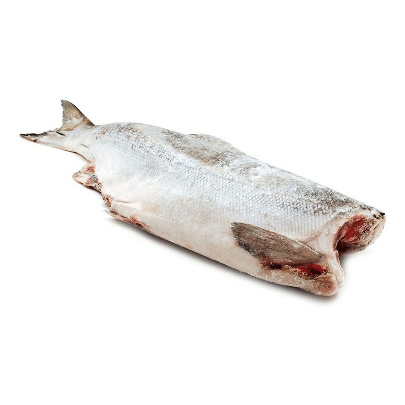 Нерка б/г потрошеная. Полака рыба. Свежемороженая рыба хек. Бротола тушка свежемороженая. Форель радужная пбг 1кг (23).