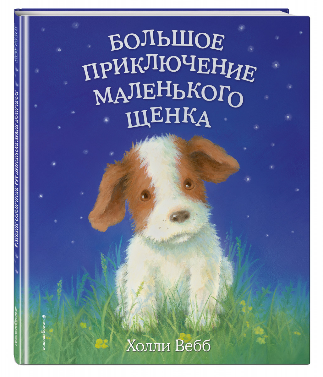 Большое приключение маленького щенка (выпуск 1) - купить детской художественной литературы в интернет-магазинах, цены на Мегамаркет |