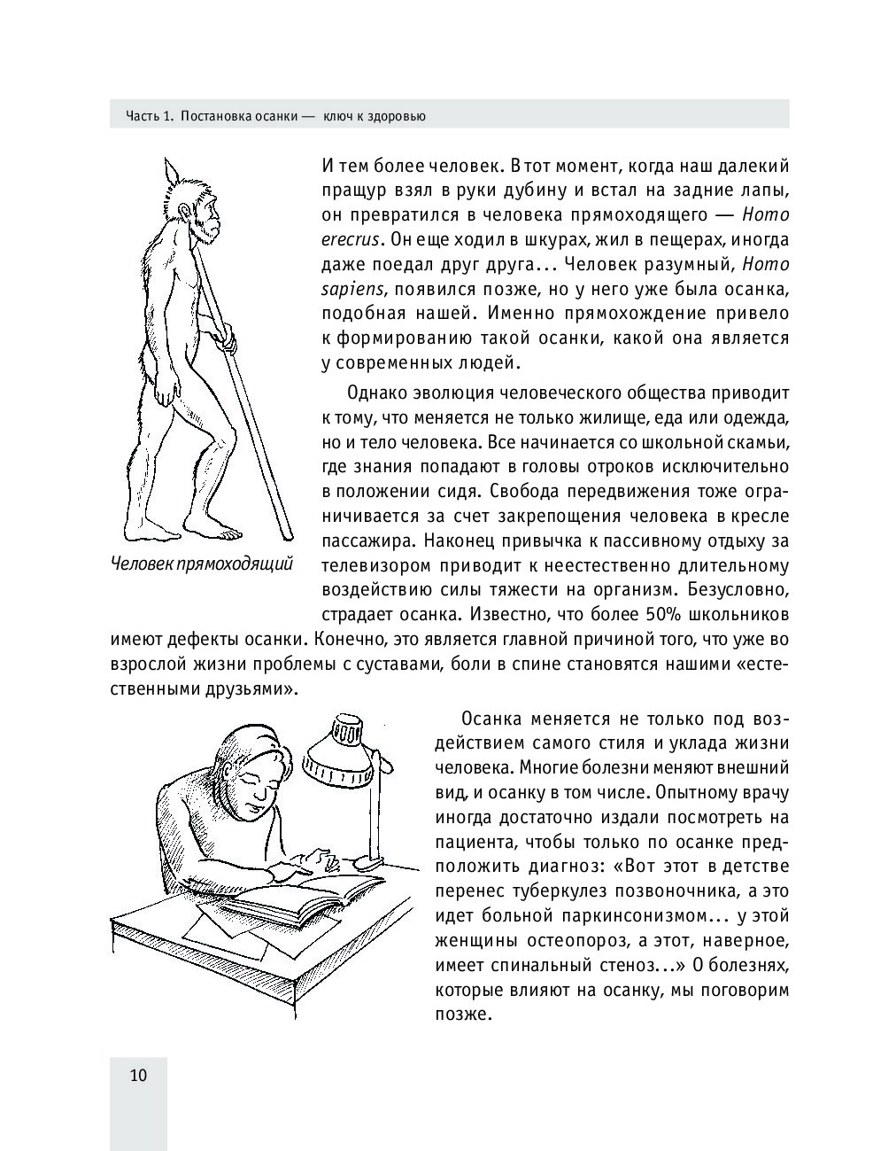 Болит спина: что делать. Система Живая осанка - купить спорта, красоты и  здоровья в интернет-магазинах, цены на Мегамаркет |