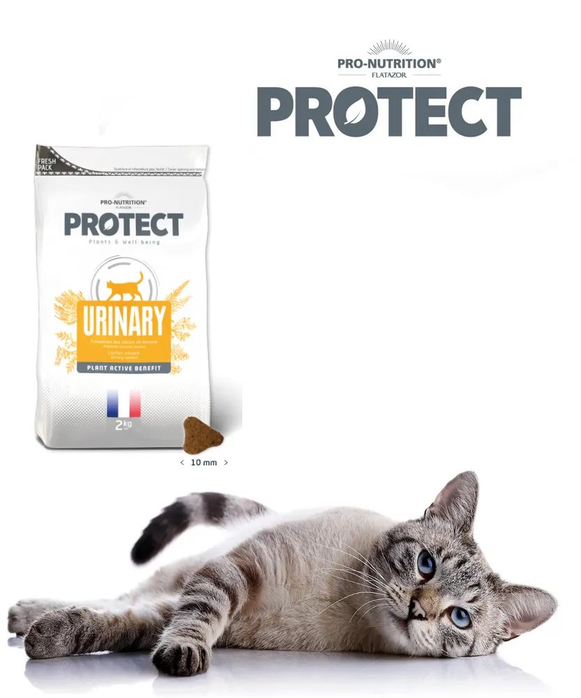 Купить сухой корм для кошек Flatazor Protect Urinary, при МКБ, мясо, 2кг,  цены на Мегамаркет | Артикул: 100024967626