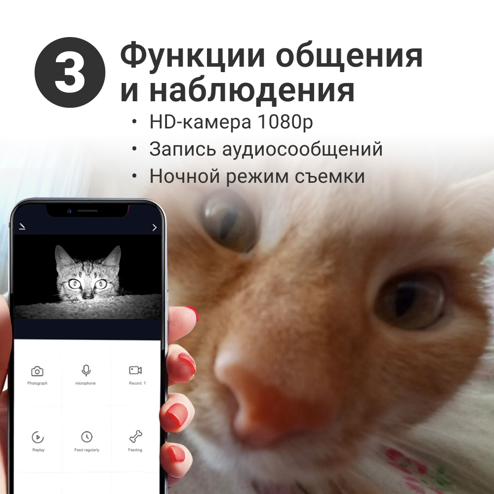 Купить умная кормушка для кошек и небольших собак ZOOWELL с WI-FI, камерой  и записью голоса, 6 л, цены на Мегамаркет | Артикул: 600005702426