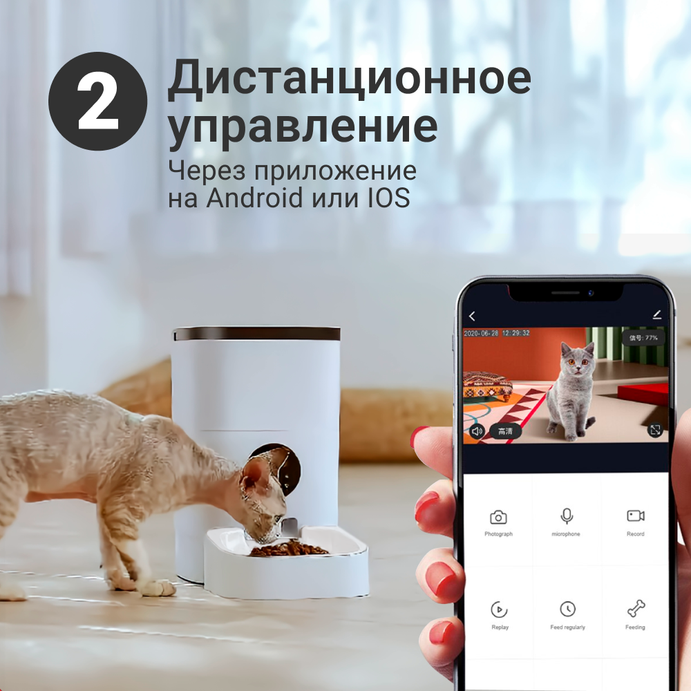 Умная кормушка для кошек и небольших собак ZOOWELL с WI-FI, камерой и  записью голоса, 6 л - отзывы покупателей на маркетплейсе Мегамаркет |  Артикул товара:600005702426