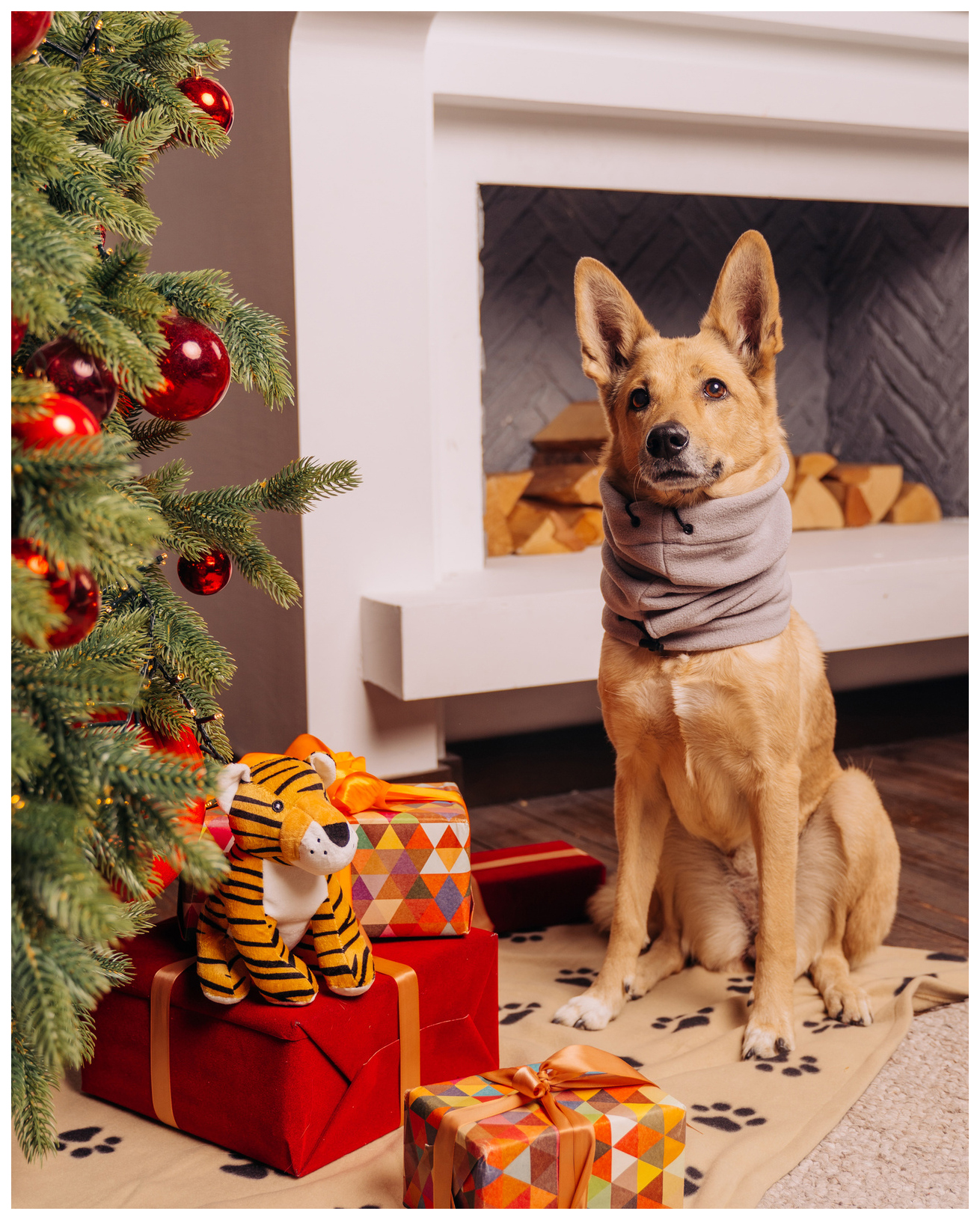 Шарф для собак Tappi одежда унисекс, демисезон, зима, серый, M