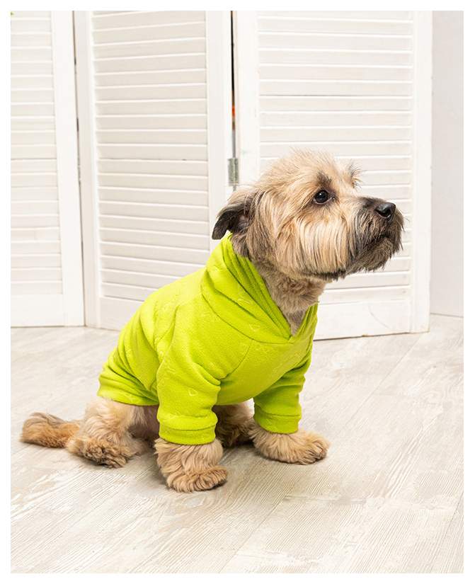 Толстовка для собак Yami-Yami одежда Динозавры, унисекс, зеленый, XL, длина спины 34 см