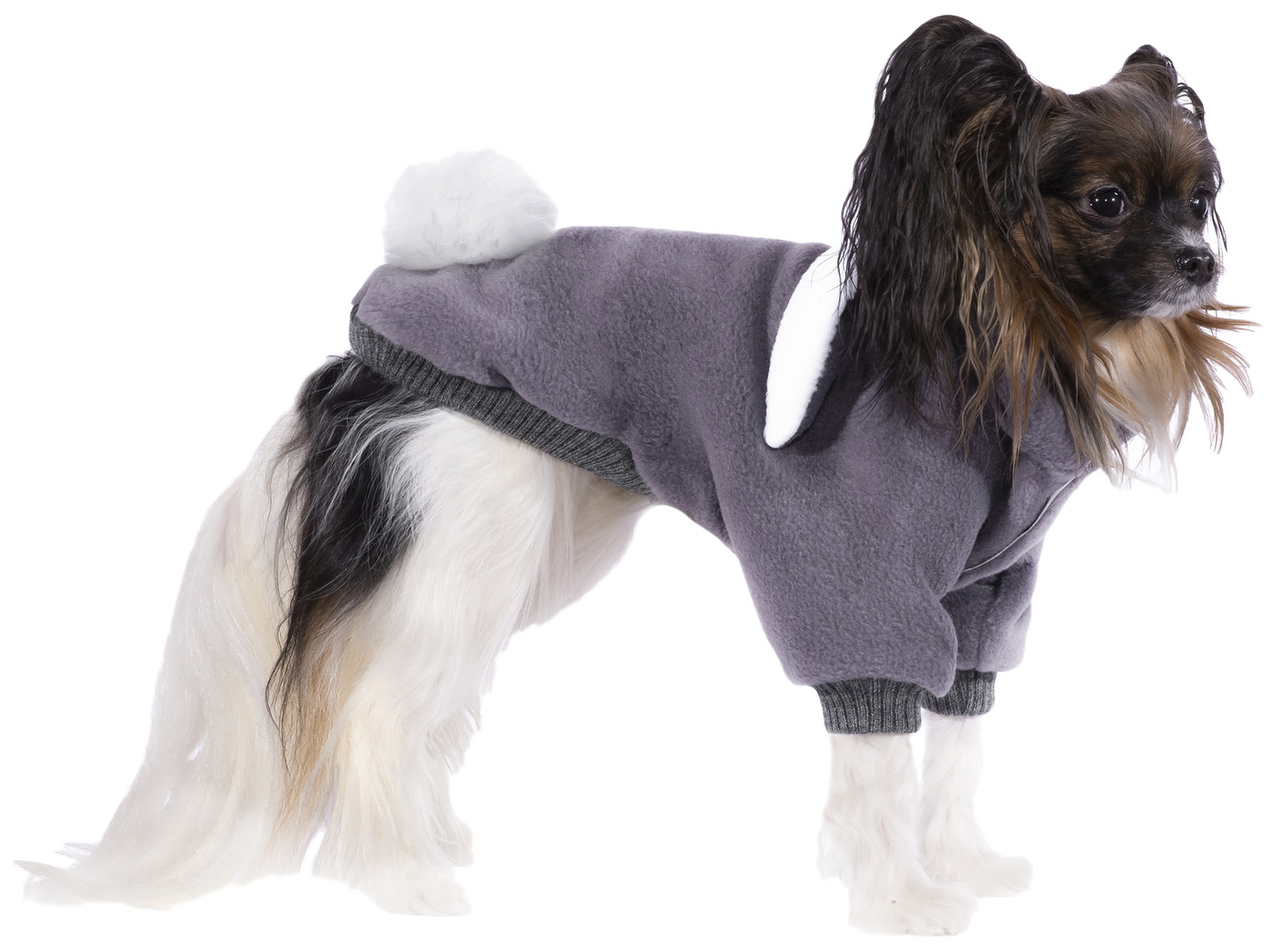 Толстовка для собак Tappi одежда Фатсо, унисекс, серый, S, длина спины 25 см