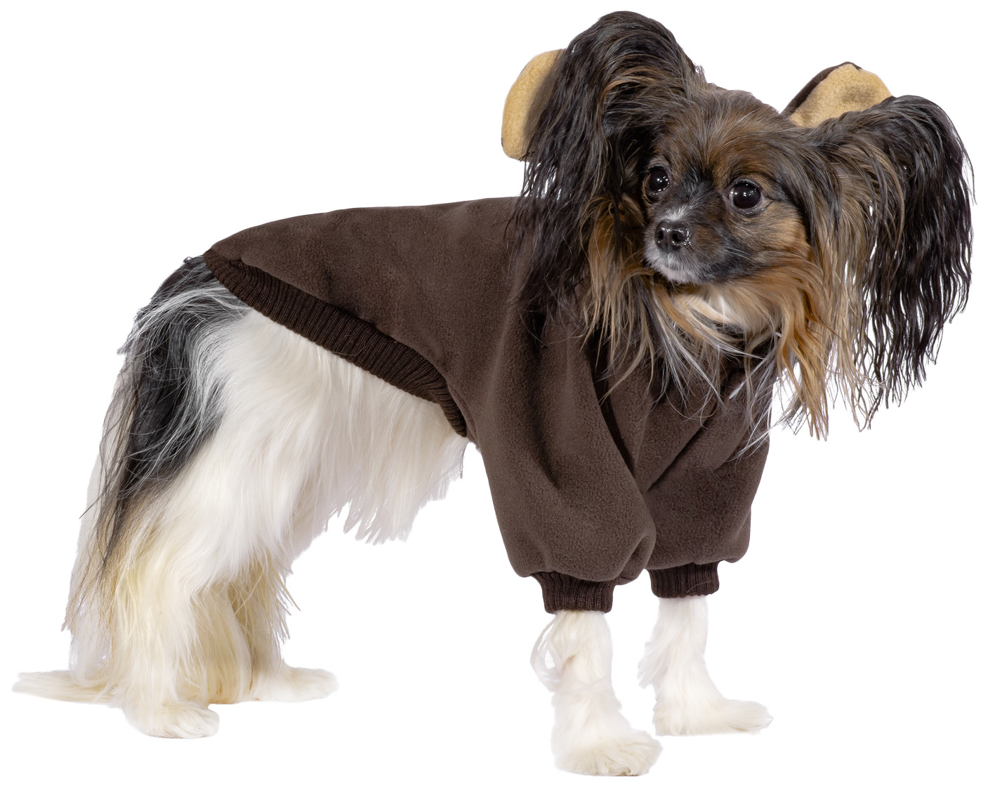 Толстовка для собак Tappi одежда Варгоши, унисекс, коричневый, S, длина спины 25 см