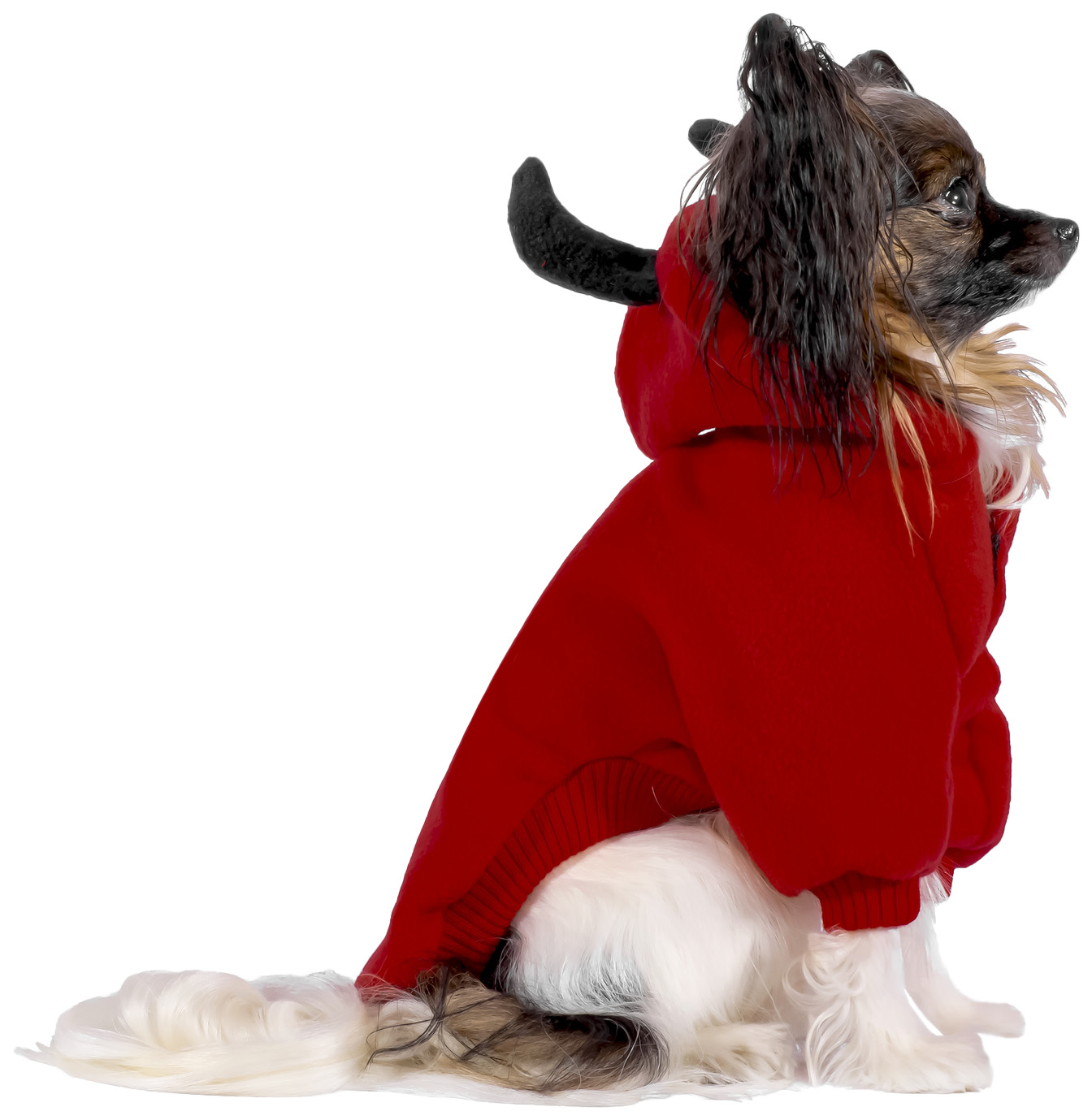 Толстовка для собак Tappi одежда Блади, унисекс, красный, S, длина спины 25 см