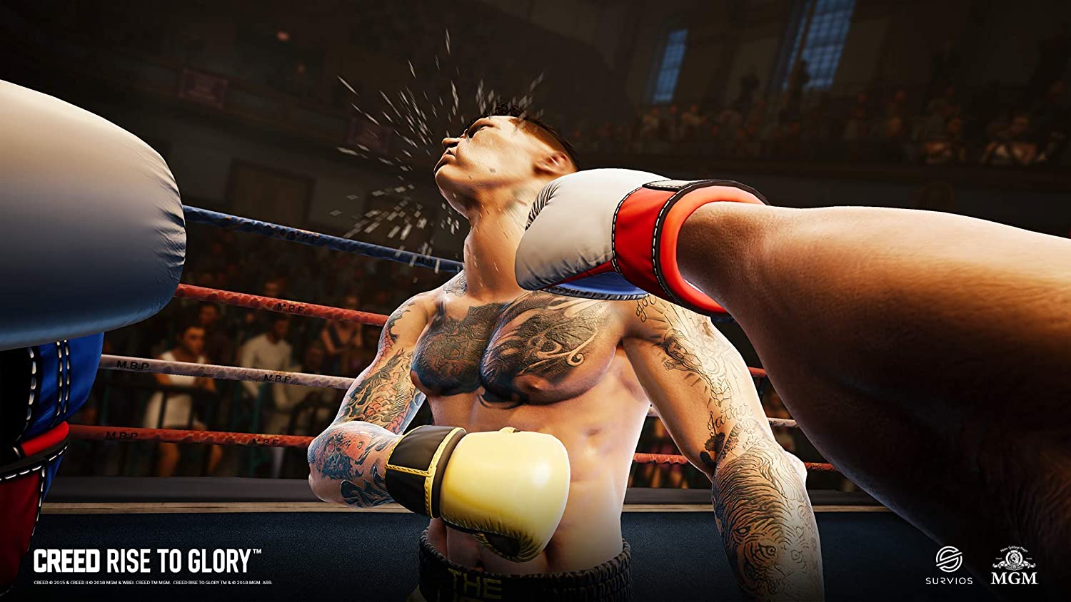 Игра Creed Rise to Glory PS4 PSVR - купить в Москве, цены в  интернет-магазинах Мегамаркет