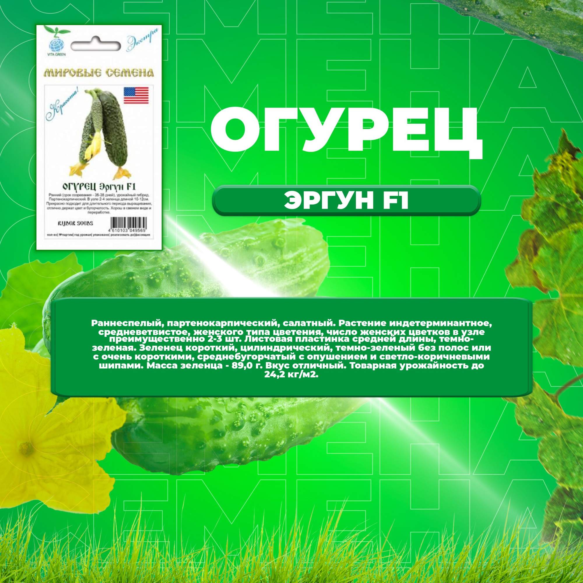 Огурцы эргун отзывы