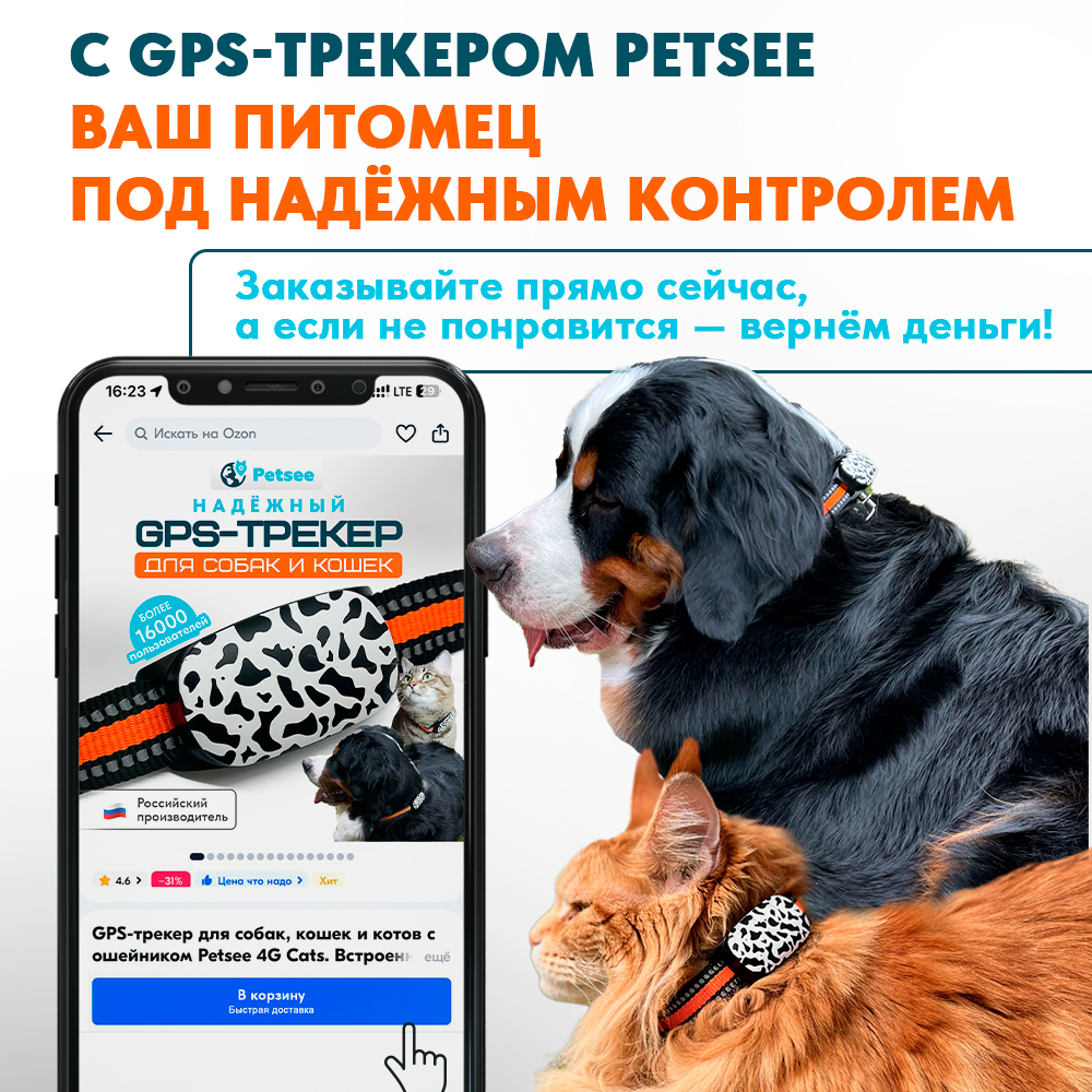 Ошейник для животных Petsee 4G Cats с GPS, черный, оранжевый, 10-50 см –  купить в Москве, цены в интернет-магазинах на Мегамаркет