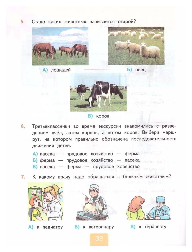 Окружающий мир. Тесты. 3 Класс. Окружающий мир 3 класс тесты Плешаков. Окружающий мир 3 класс проверочные работы.