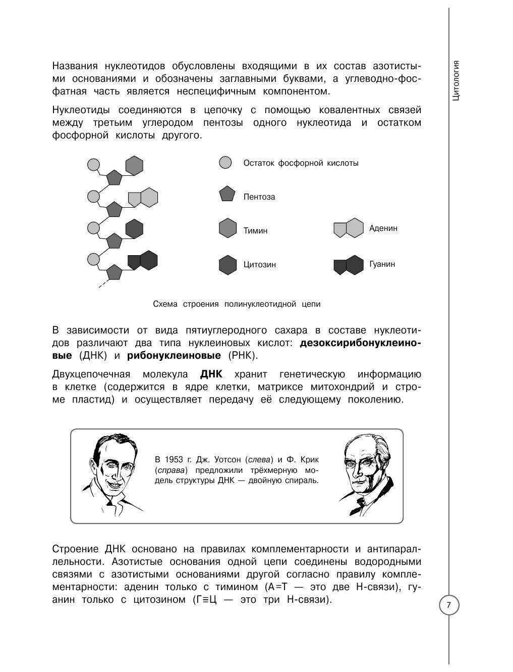 Биология. Решение задач на ЕГЭ – купить в Москве, цены в интернет-магазинах  на Мегамаркет