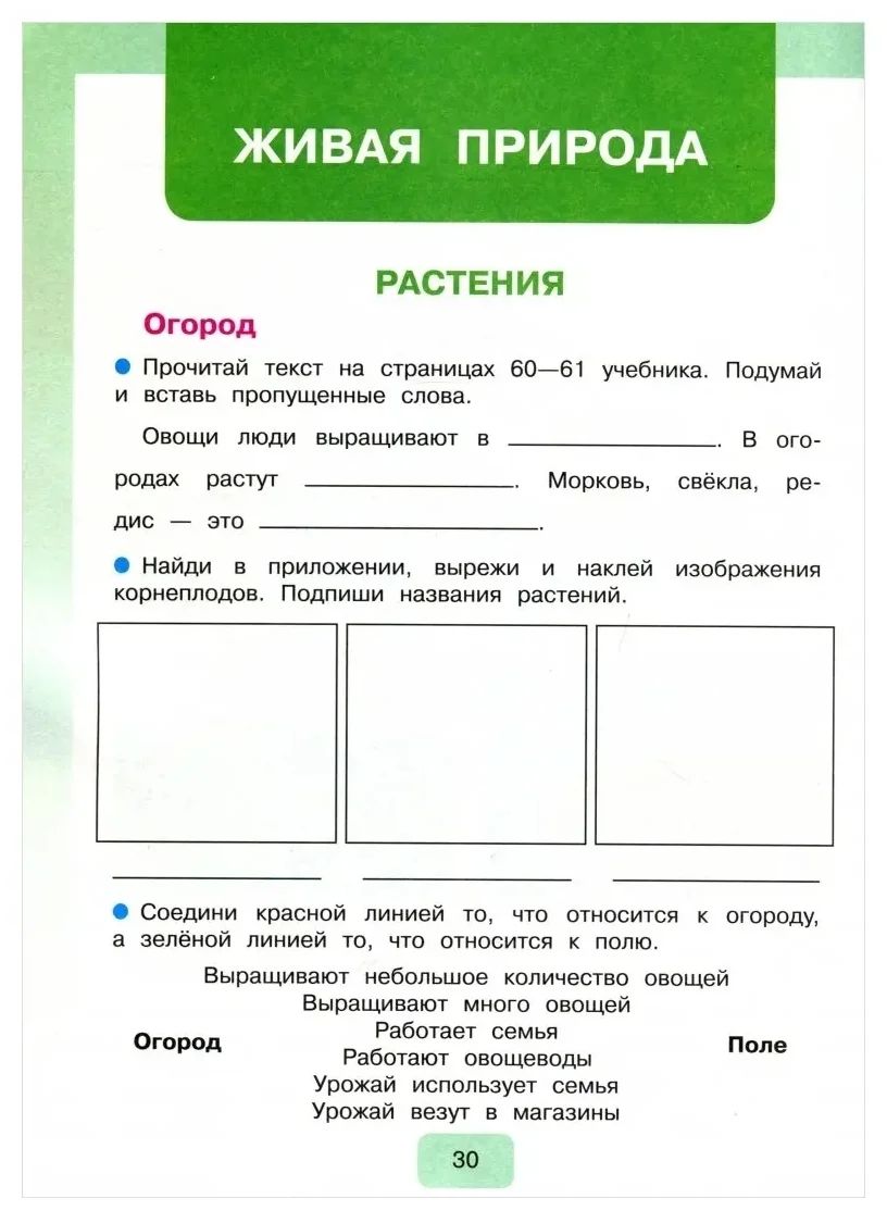 Мир природы 2 класс овз. Мир природы и человека 1 класс учебник. Окружающий мир овз 1 класс программа. Окружающий мир овз 1 класс программа. Мир природы и человека 1 класс рабочая тетрадь.