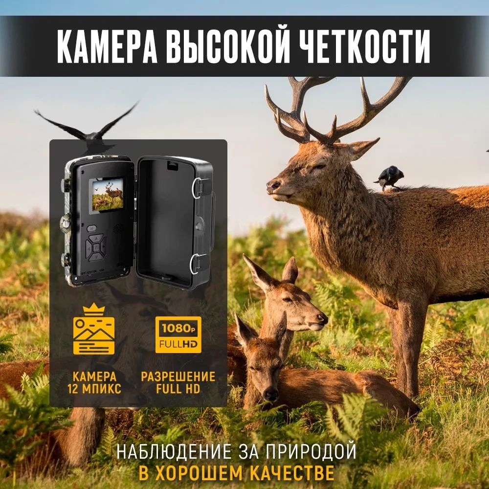 Фотоловушка Купить В Беларуси Для Дачи