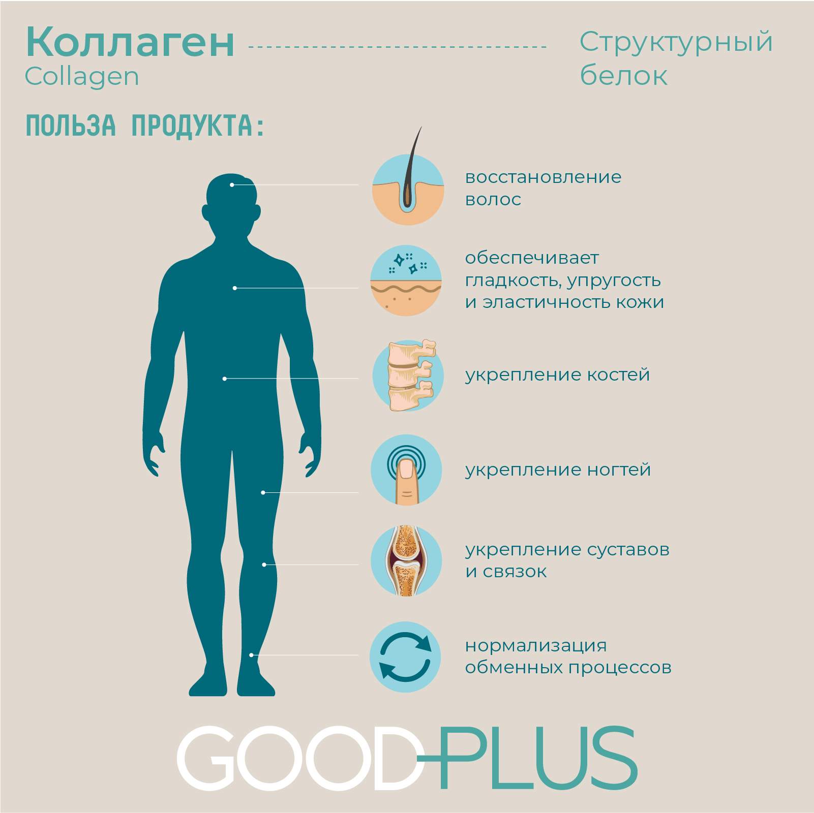 Коллаген что это из чего. Коллаген что это из чего. Для чего нужен коллаген. Коллаген что это из чего. Коллаген что это из чего.