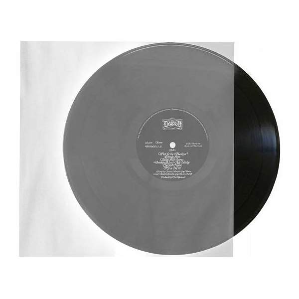 Analog Renaissance Analog Renaissance Конверты внутренние COEX для грампластинок 12" 25 шт, купить в Москве, цены в интернет-магазинах на Мегамаркет