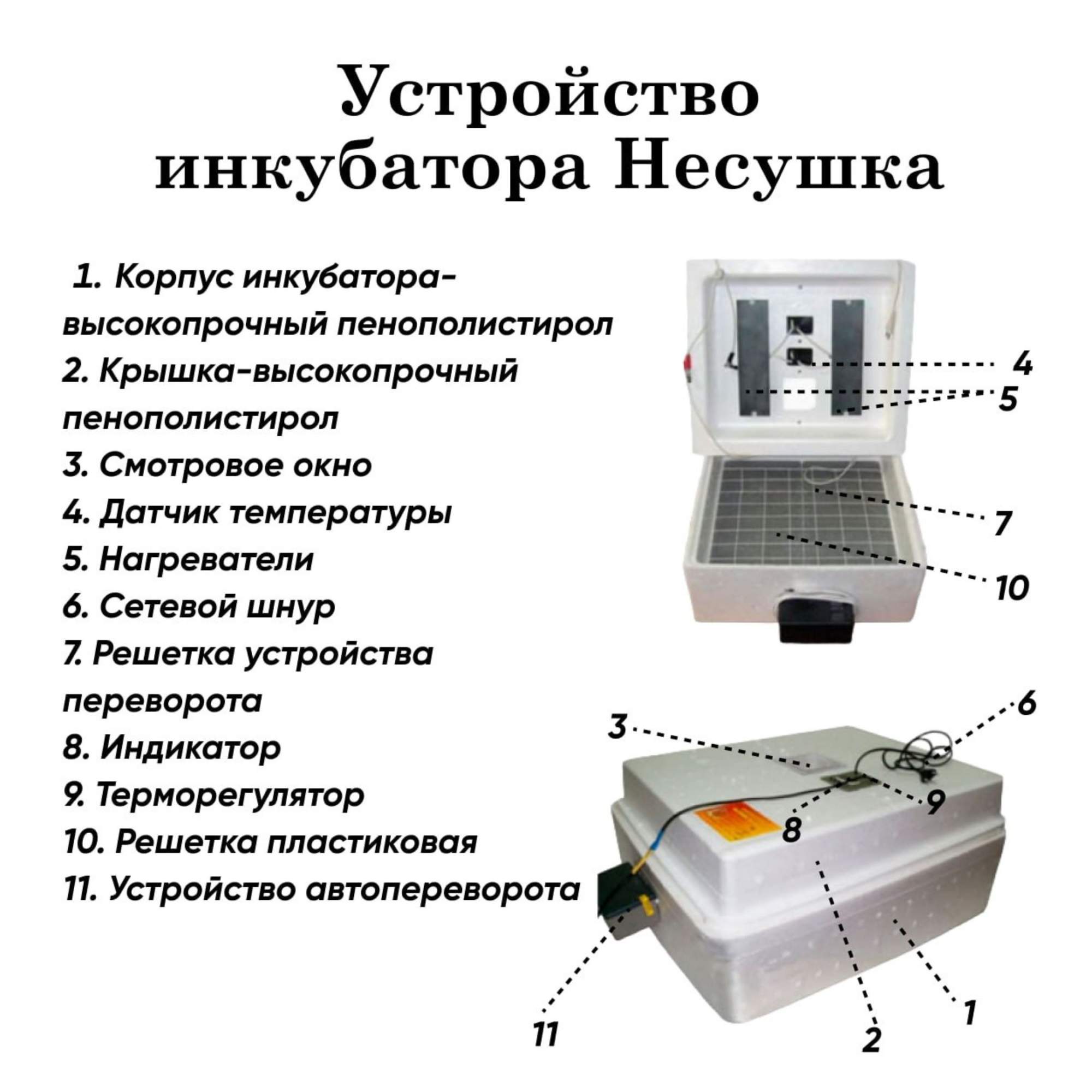 Инкубатор для яиц Несушка автоматический, на 77 яиц, 220В – купить в  Москве, цены в интернет-магазинах на Мегамаркет