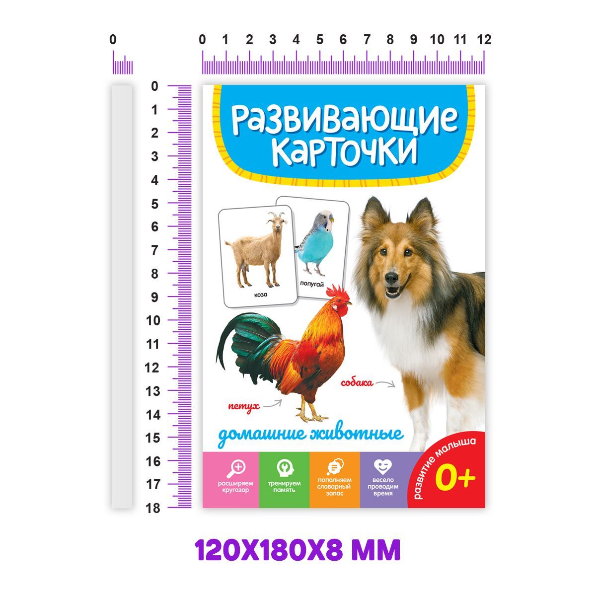 Развивающие карточки Домашние животные, 20 двусторонних карточек - купить в  КНИЖНЫЙ КЛУБ 36.6, цена на Мегамаркет