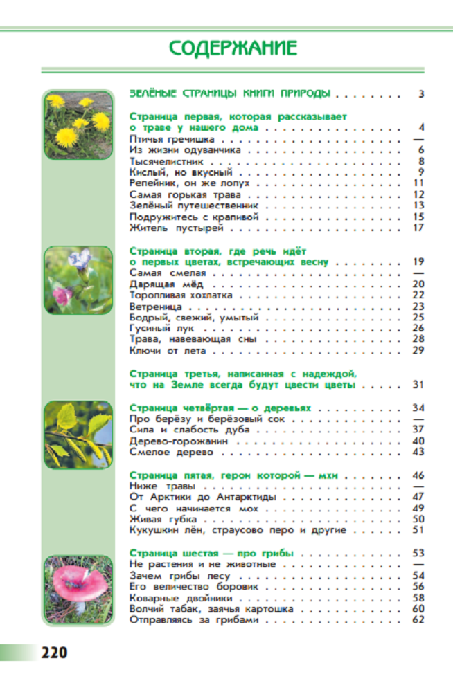 Зеленая книга виды. Книга зелёные страницы 3 класс содержание. Содержание зеленые страницы Плешаков. Книга зелёные страницы 2 класс оглавление. Зелёные страницы 3 класс окружающий мир Плешаков.