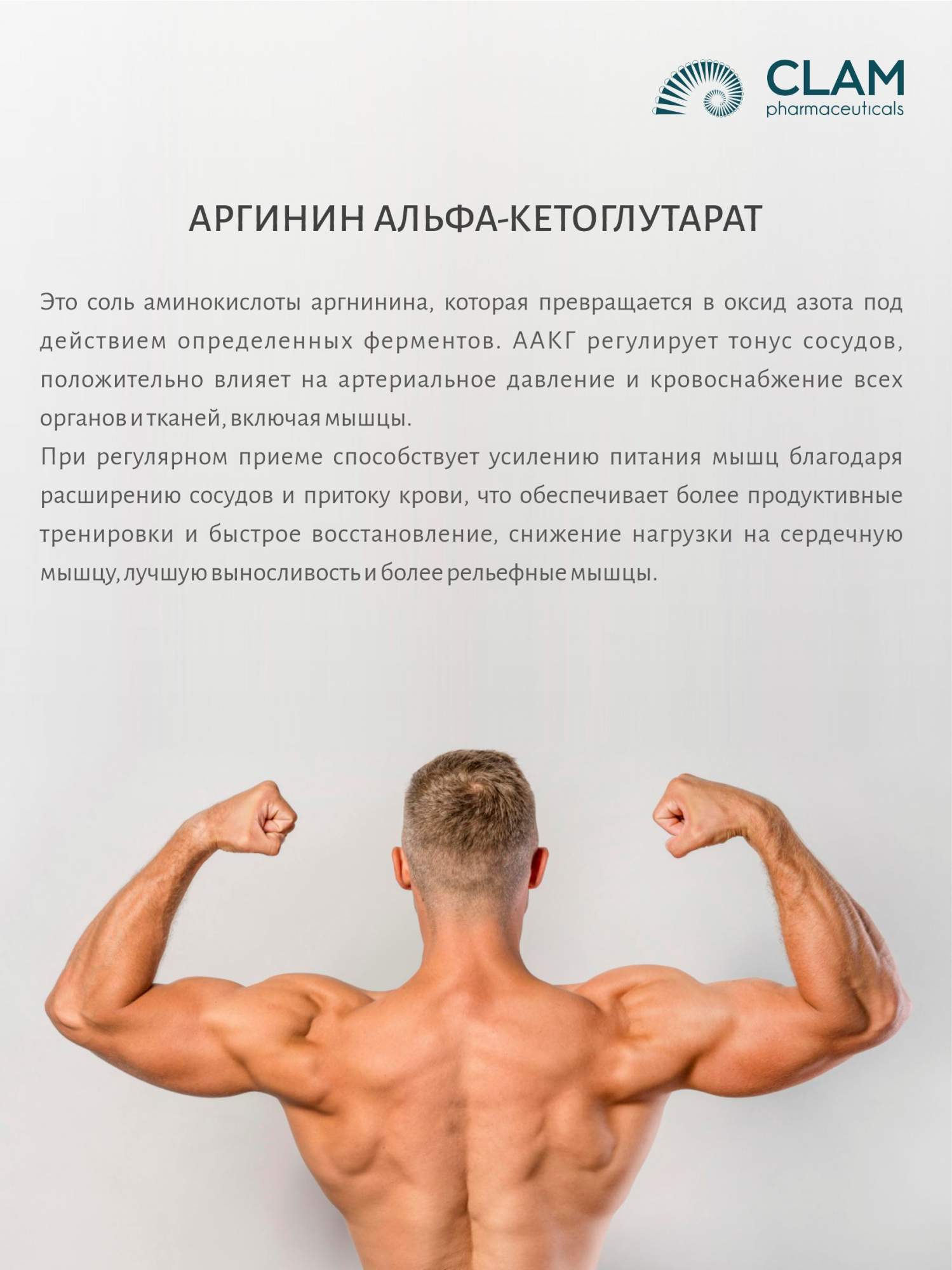 L аргинин что это и для чего