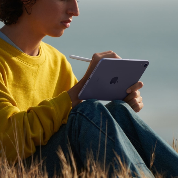 Планшет Apple iPad mini 2021 256 GB Wi-Fi Pink (MLWR3)