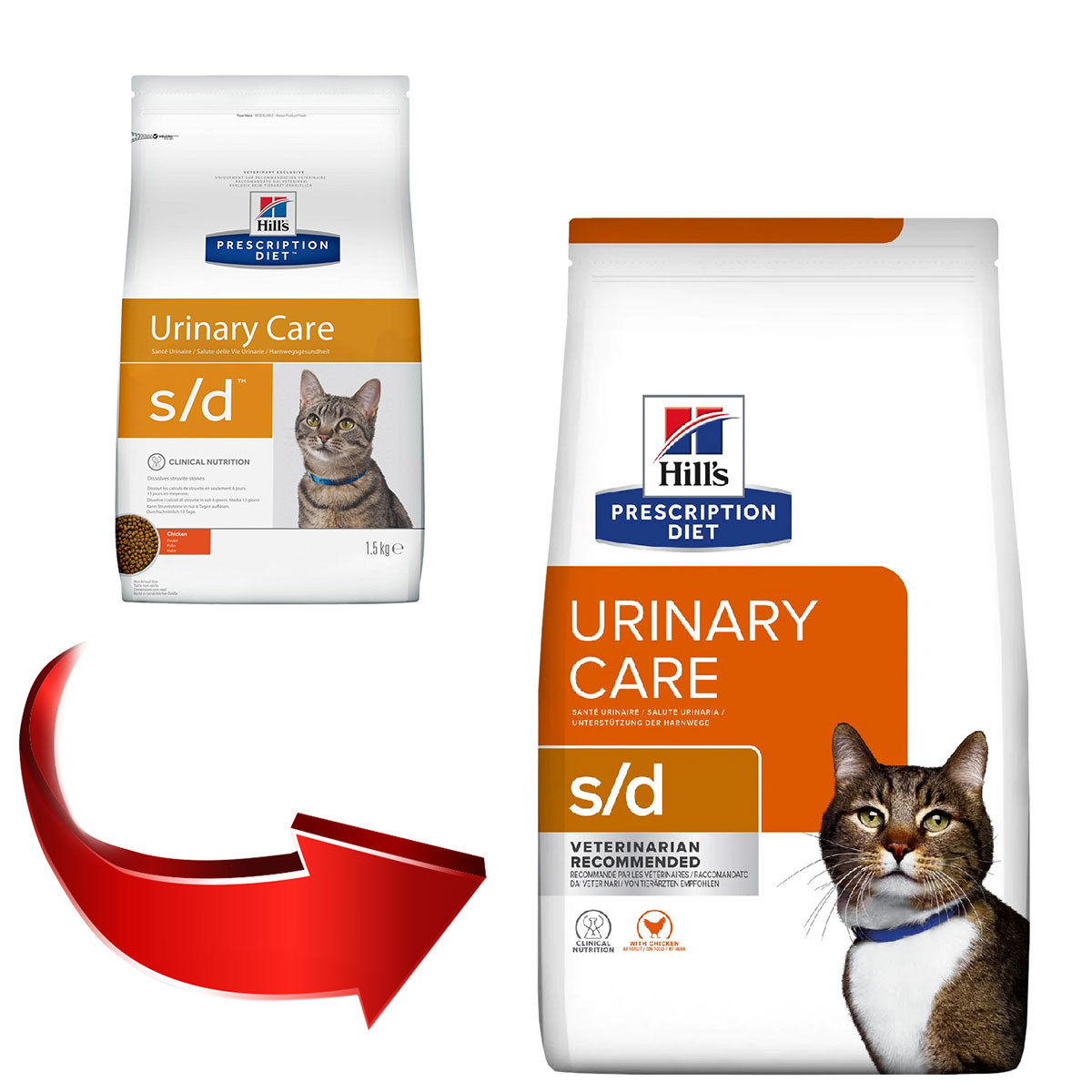 Корм кисса. Hill's Prescription Diet s/d Urinary лечебный. Hills Urinary Care. Хиллс СД. Hills Urinary самый сильный.