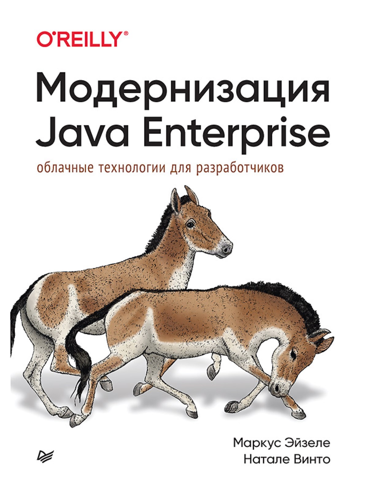 Модернизация Java Enterprise: облачные технологии для разработчиков -  купить компьютерные технологии и программирование в интернет-магазинах,  цены на Мегамаркет | 978-5-4461-2002-4