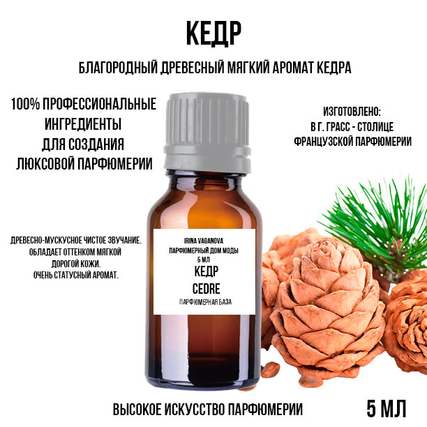 Чем пахнет кедр в парфюмерии