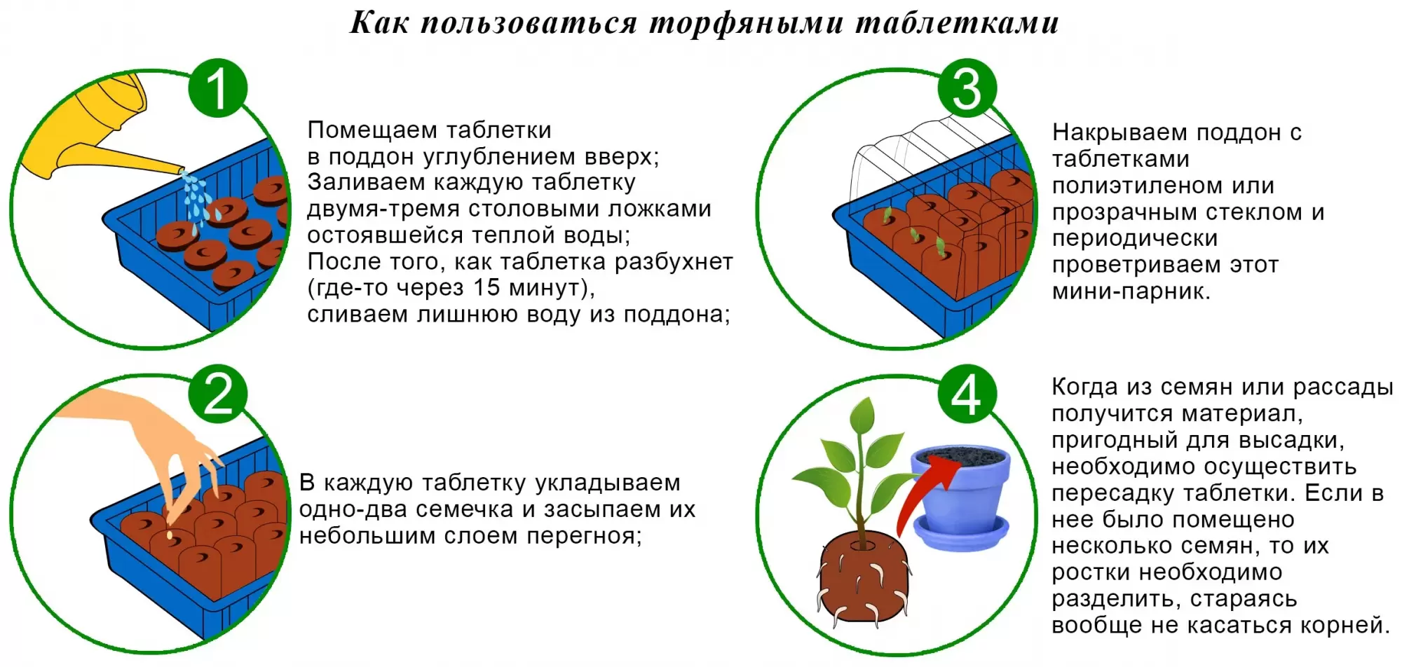 Технологии посева посадки и ухода за культурными растениями технология 6 класс презентация