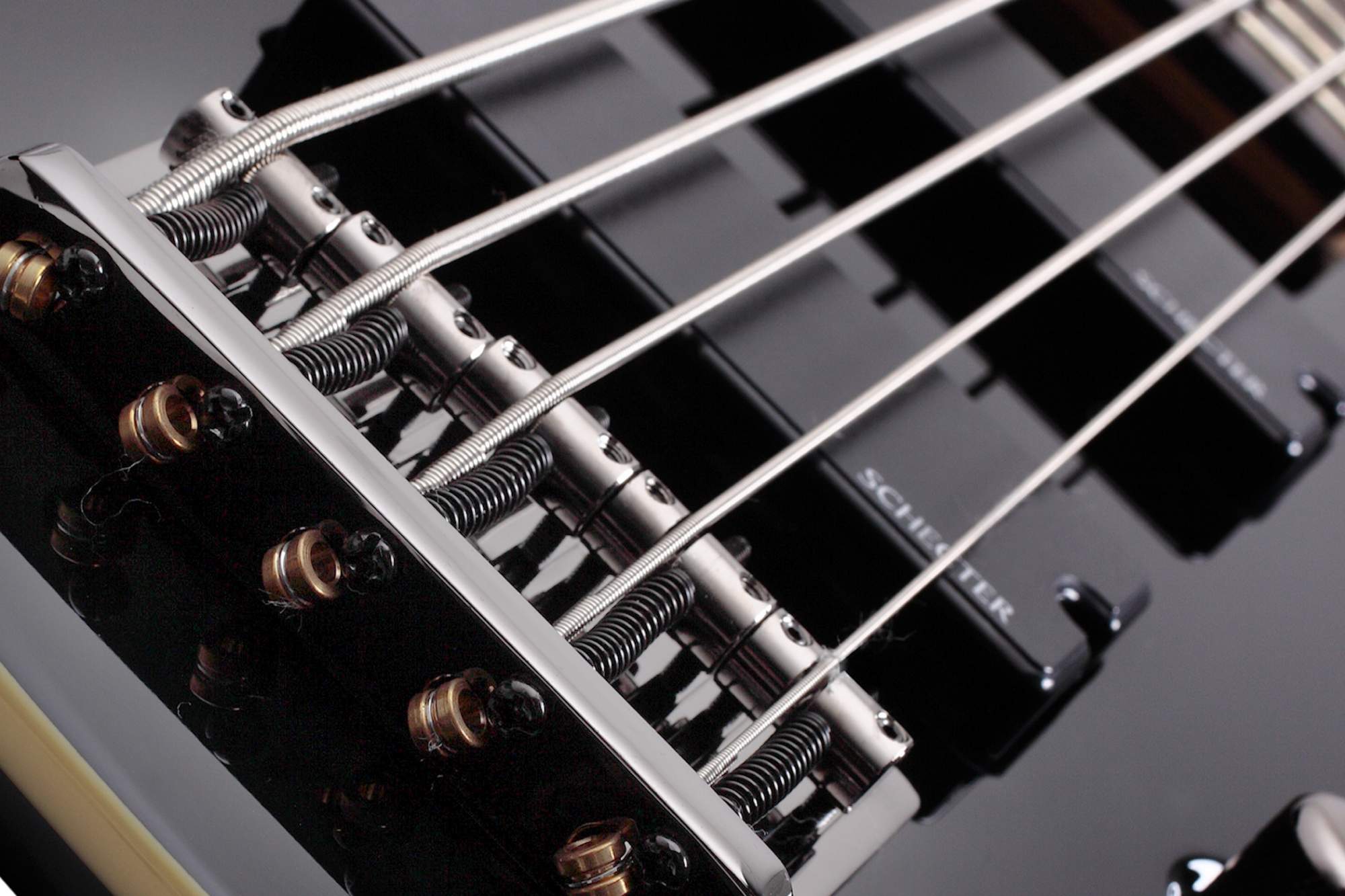 Bass отзывы. Бас гитара Schecter Omen-5 BLK. Шехтер Омен 5 бас.