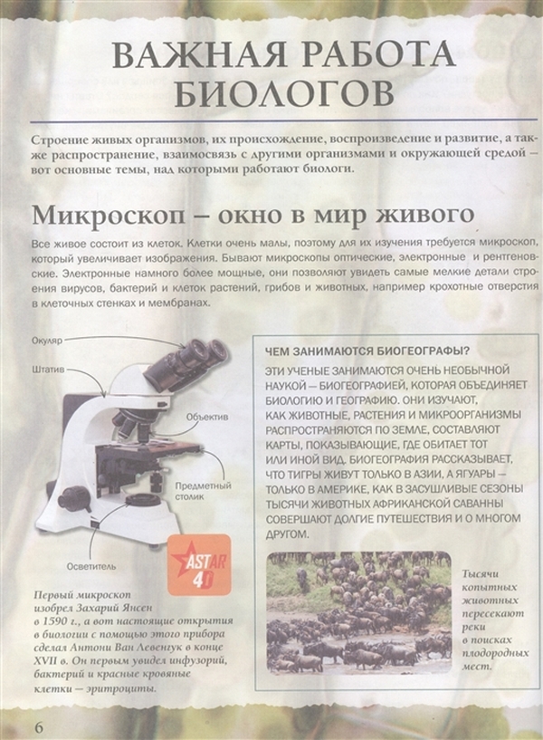 биология 9 класс любовь сухоруков. биология 9 класс учебник сухорукова. система жива книги. реклама книги примеры. живые системы.