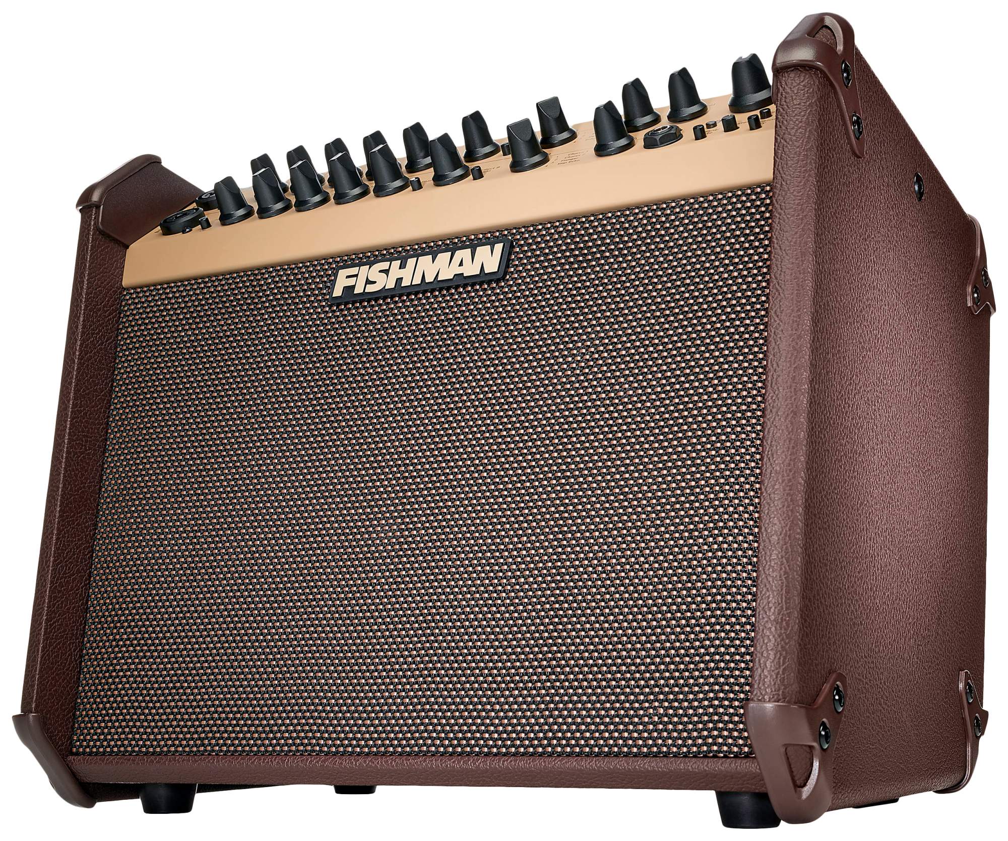 Электроакустический комбик. Fishman Pro-LBT. Fishman Loudbox artist. Fishman Loudbox Mini charge. Комбоусилитель 120 ватт.