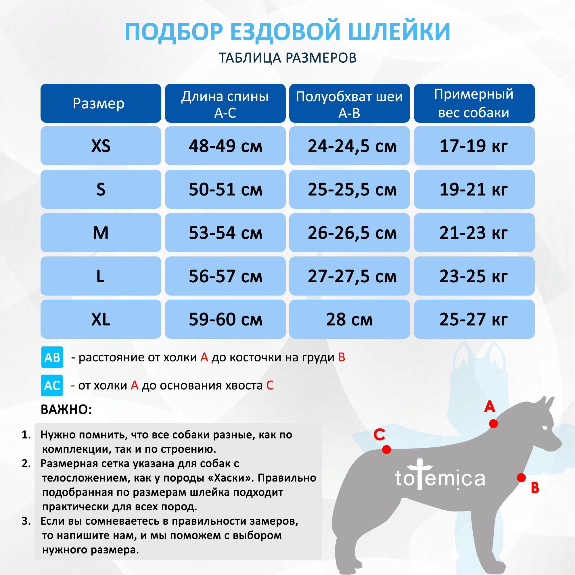 Как самостоятельно сделать шлейку для собак: пошаговое руководство