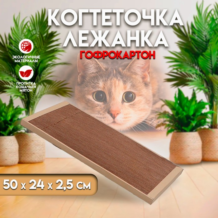 Картонная когтеточка для кошек Когтедралка КРАФТ 50х24х2.5см - купить в Фабрика Успеха, цена на Мегамаркет